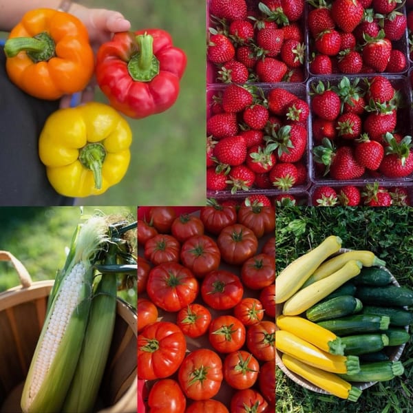 A collage of fresh produce including bell peppers, strawberries, corn, tomatoes, and zucchini.